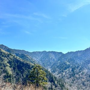 Meet your Posher, Banizzy